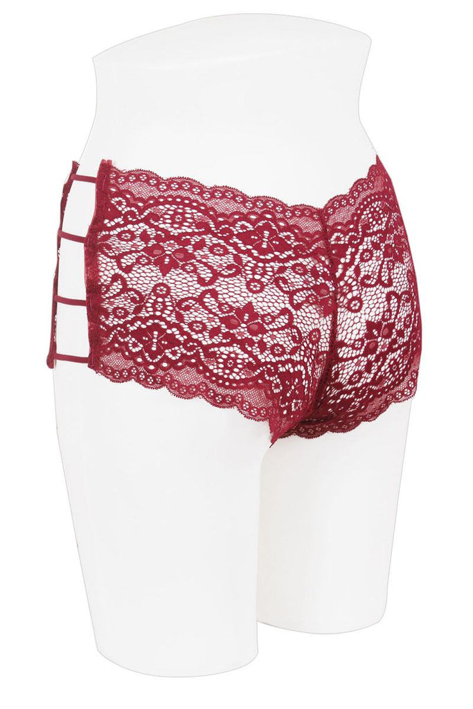 plus size caged lace hipster