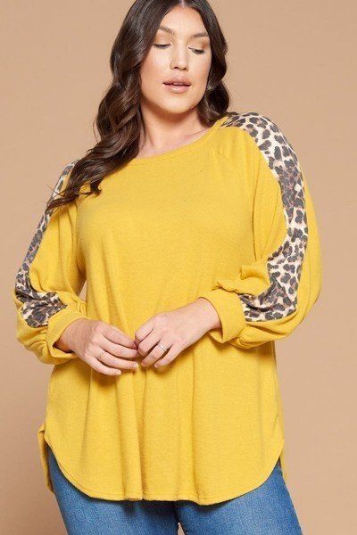 Plus Size Solid Hacci Brush Tunic Top